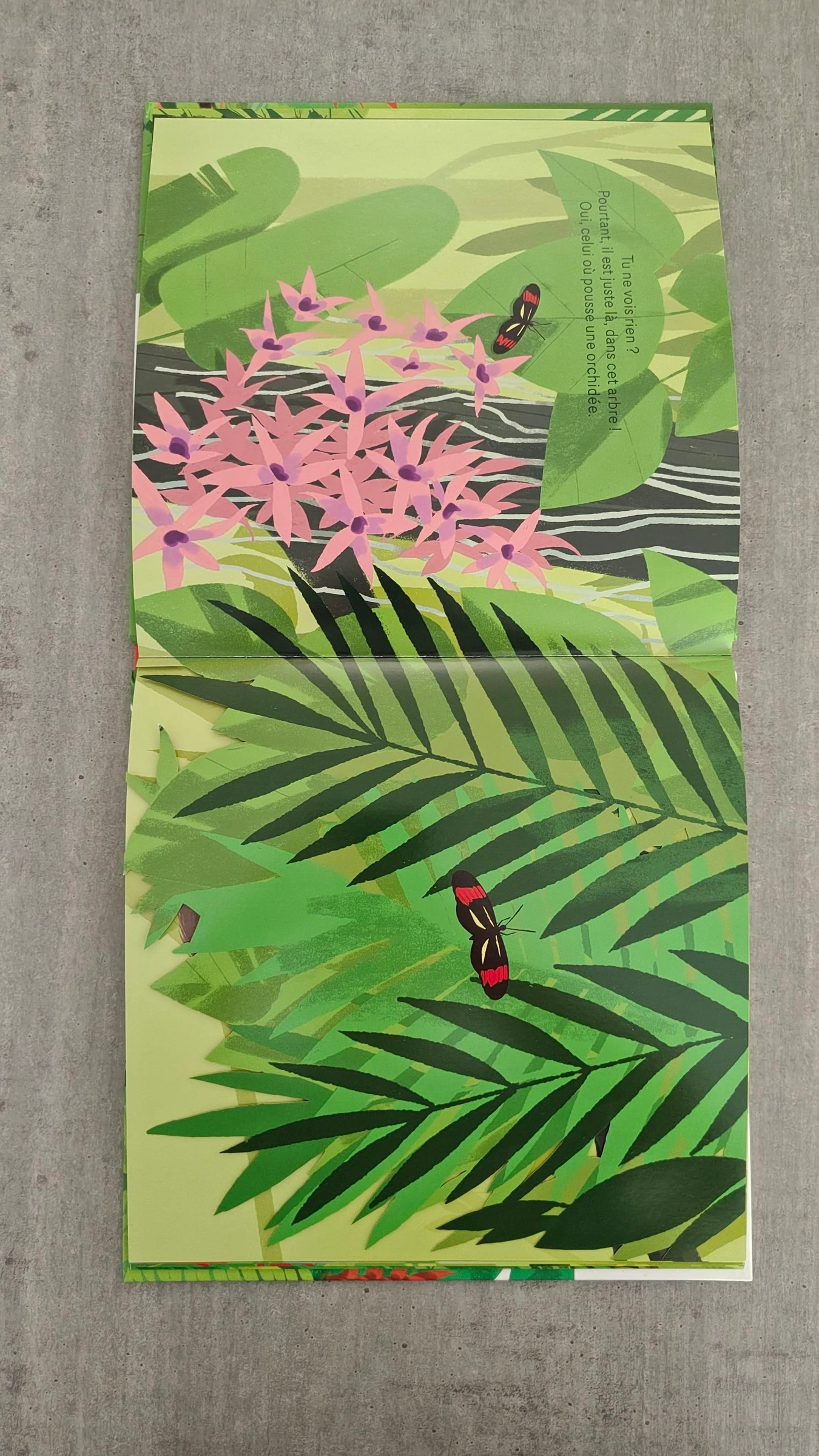 Libro "Escondido en la selva tropical" - Álbum para niños – photo 4